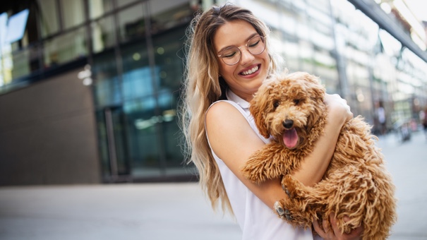 Discover ways to Decide If Pet Insurance coverage protection Is Properly definitely worth the Worth